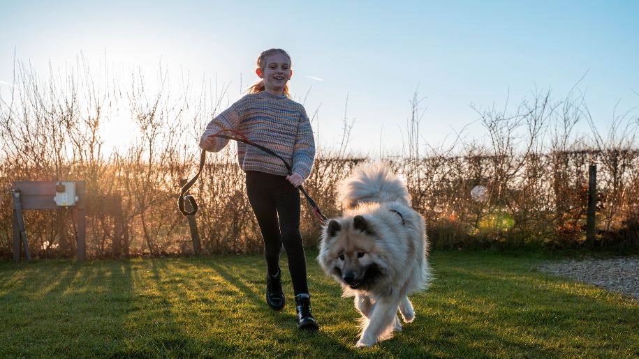 young girl holds dog lead with sunset behind