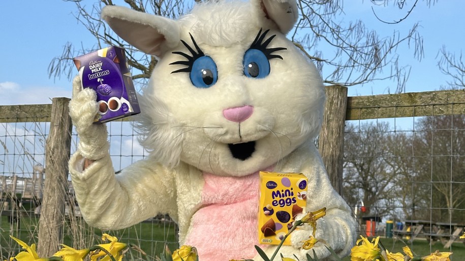 Big white Easter rabbit mascot holding two boxes of chocolates.