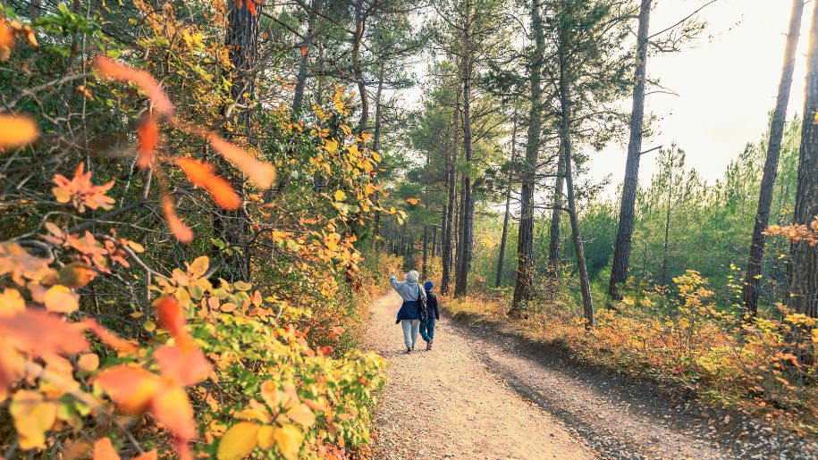 two people walk through an autumn forest