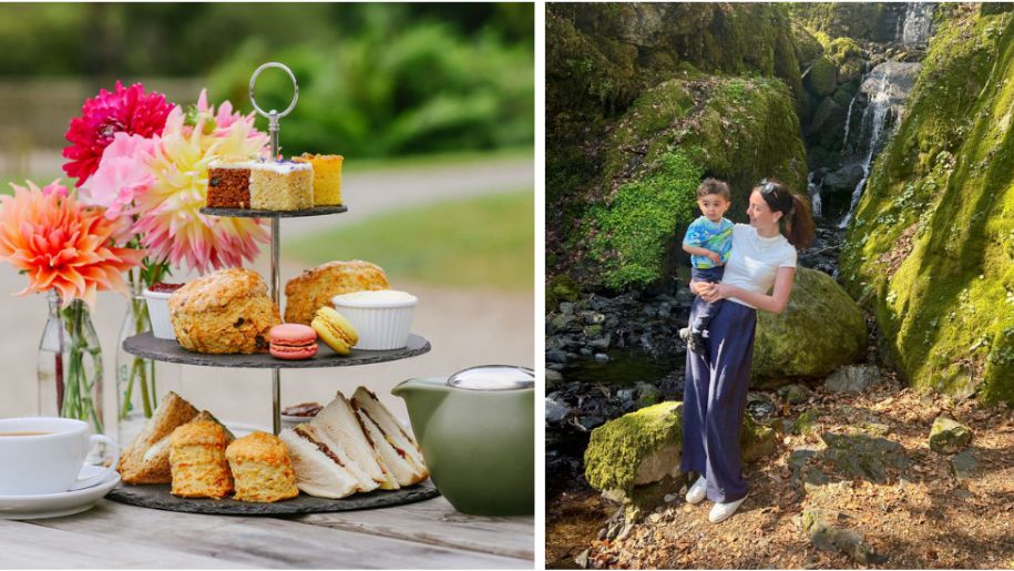 an afternoon tea and a lady holding her boy in a forest clearing