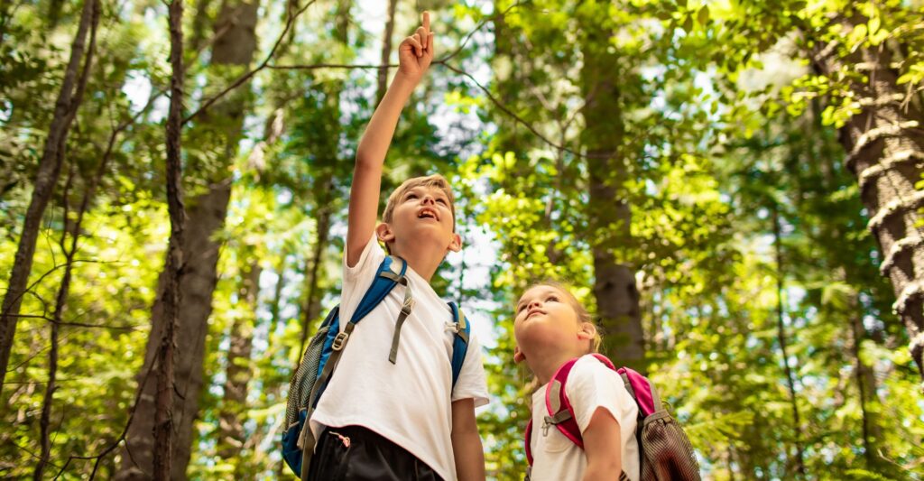 Children exploring nature forest, child discovery adventure