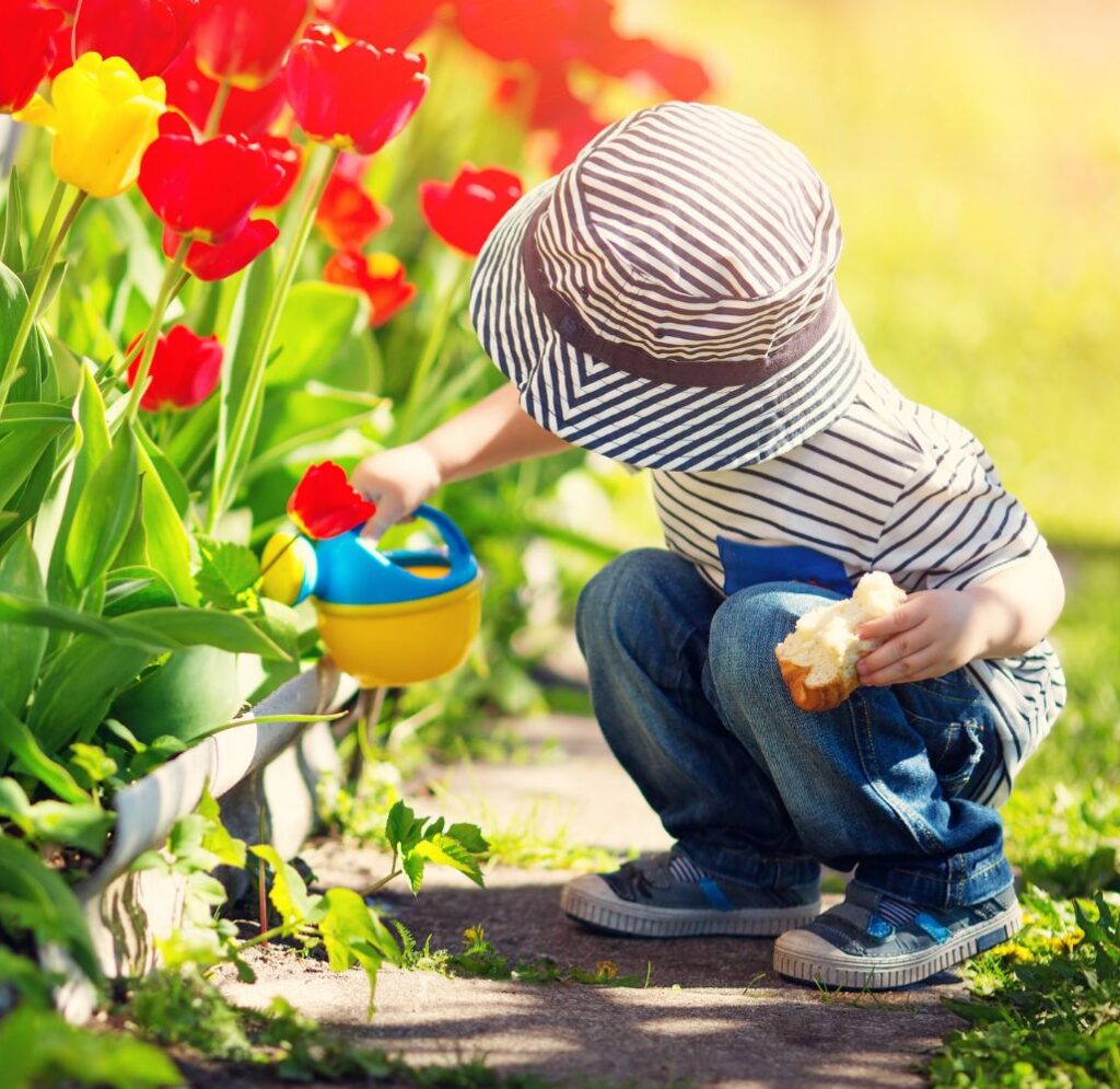 Little child walking near tulips on the flower bed in beautiful spring day