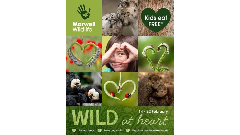 Photo collage advertising Marwell Zoo's Wild at Heart February half term event.