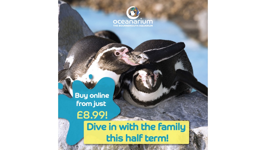 Poster with penguins advertising Oceanarium's half term family event.