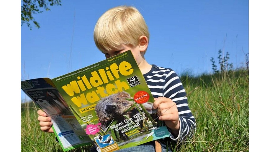 Boy looking at a copy of the magazine Wildlife Watch.