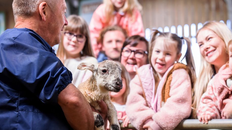 man in blue shirt holds newborn lamb while a group of girls watch and listen