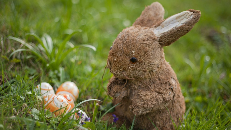 Brown toy Easter bunny with a group of decorated eggs on grass.