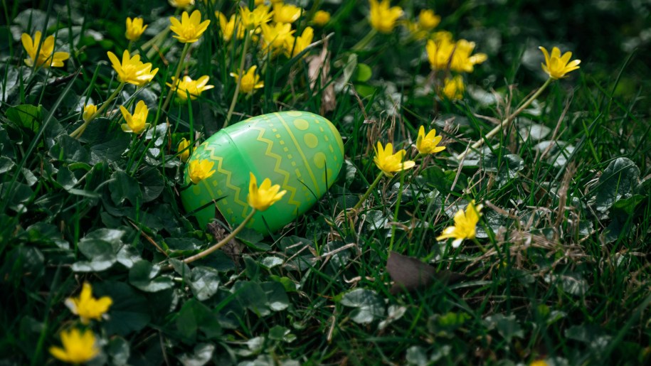 Green and yellow Easter egg hidden amongst small yellow flowers and grass.