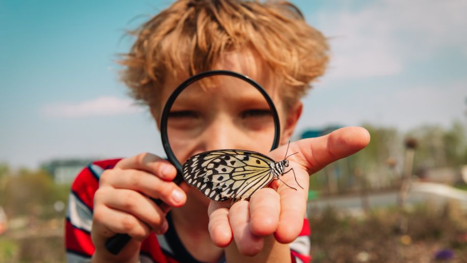 butterfly on boys hand in foreground as he looks from behind a magnifying glass