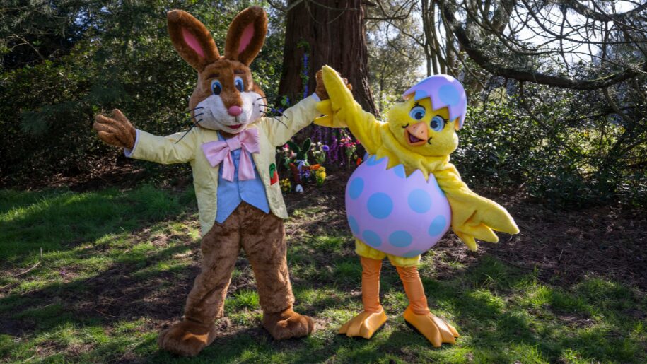 two people dressed up as an egg and a rabbit