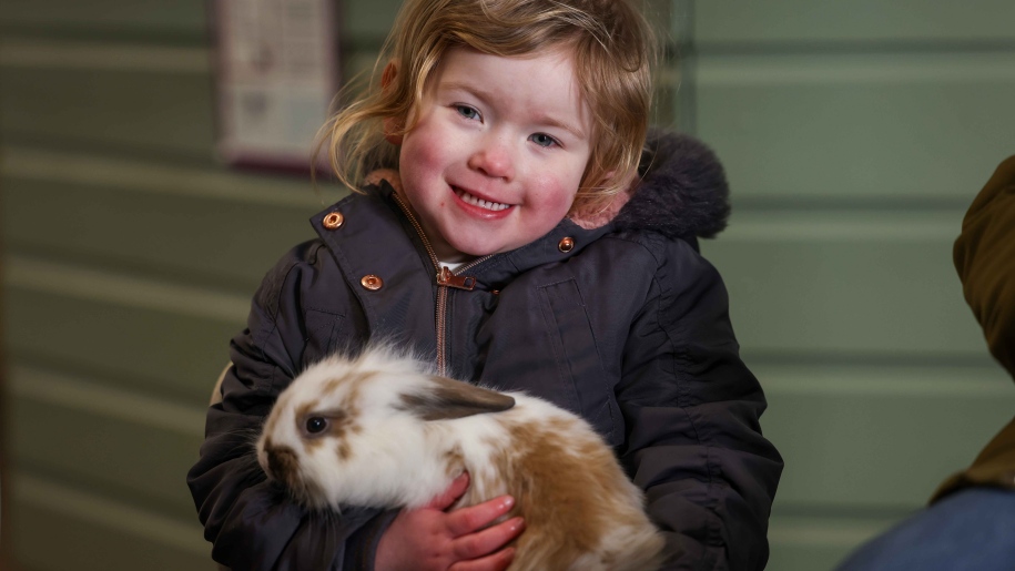 Young child cuddling a brown and white fluffy rabbit.