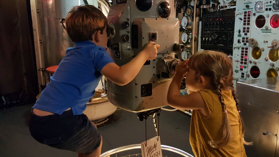 children looking through ocelot