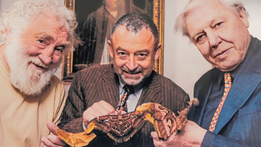 three caucasian men holding colourful butterflies