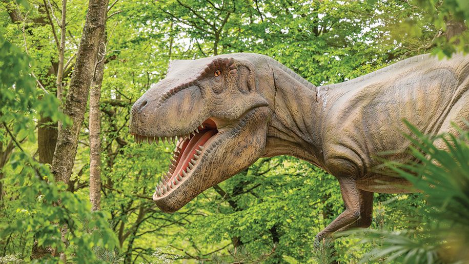 a dinosaur