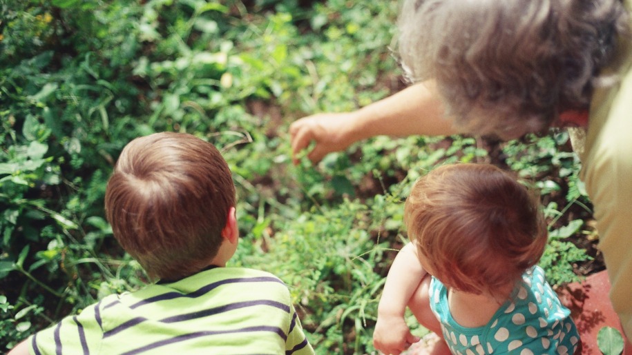 An adult showing plants to two young children on a nature ramble.