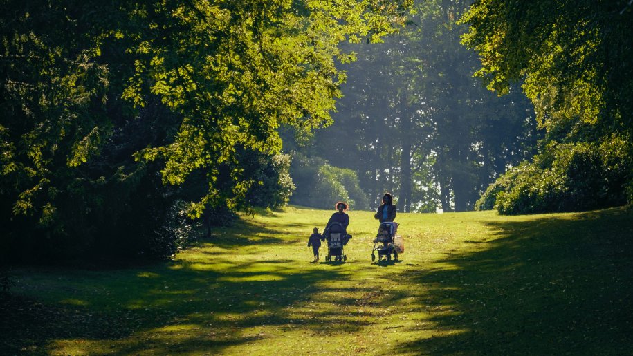 Families walking through a sunlit glade in summer.