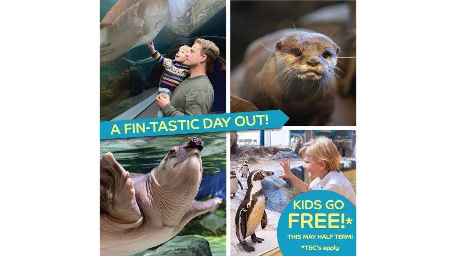 Collage of images on poster promoting Kids Go Free offer in May half term.