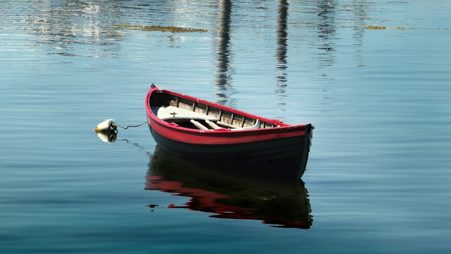 Red and black rowing boat.