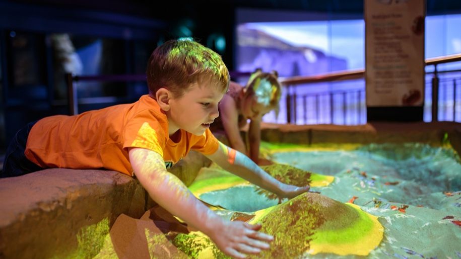 kid leans into rock pool