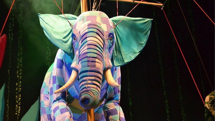 elephant