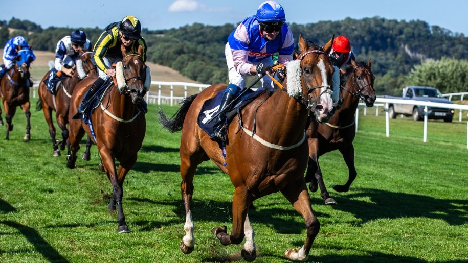 Horses racing.