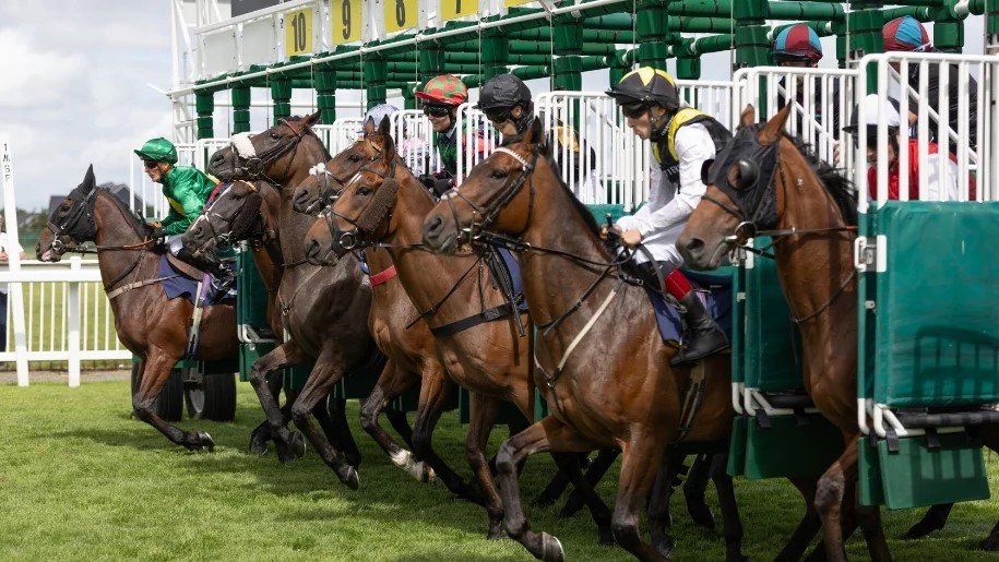 Horses leaving the stalls at the start of a race.