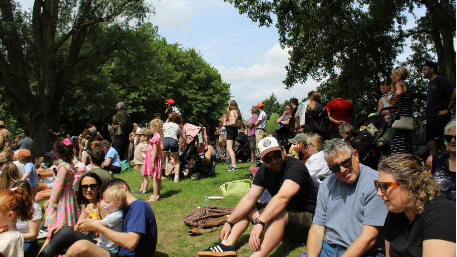 Families on a grassy bank watching a performance.