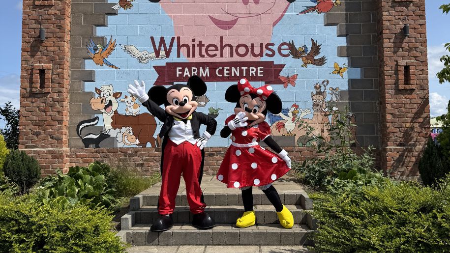 minnie and mickey mouse