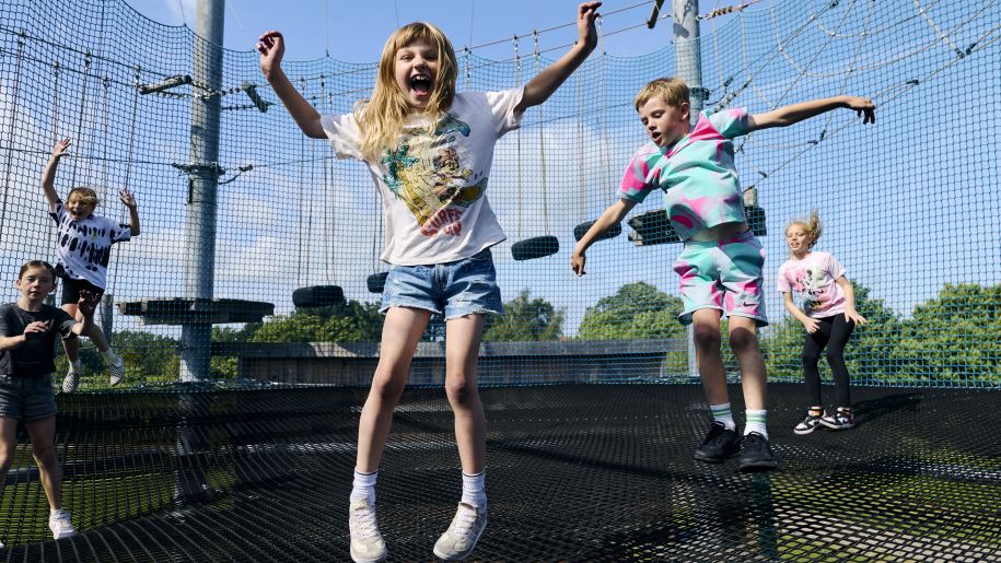 Children bouncing on an outdoor trampoline.