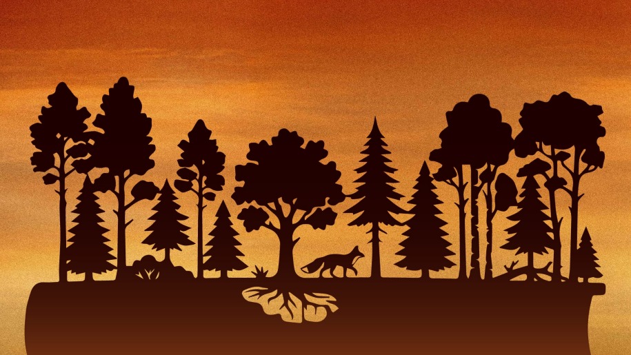 Orange and brown graphic of a fox and trees.