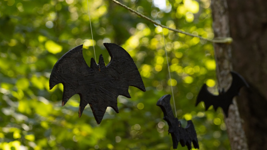 Cut-outs of bats hanging from trees for Halloween.