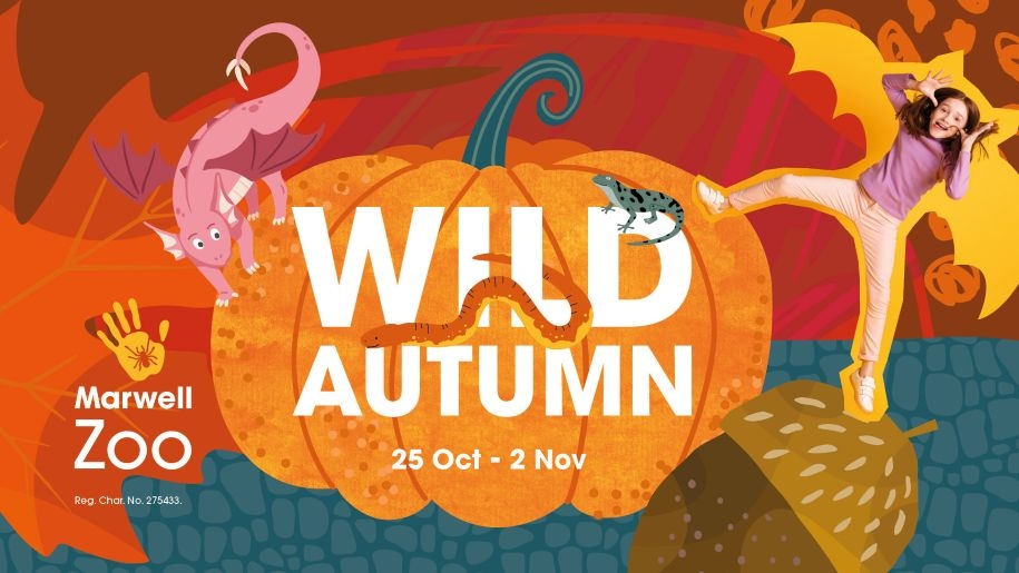 Poster with picture of pumpkin promoting the Wild Autumn event at Marwell Zoo.