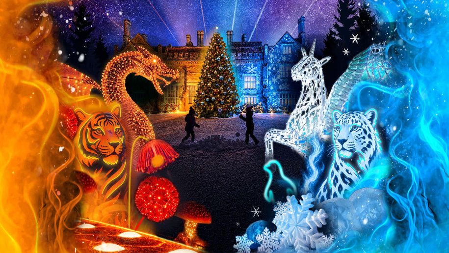 Illuminations and a Christmas tree in front of Marwell Hall.