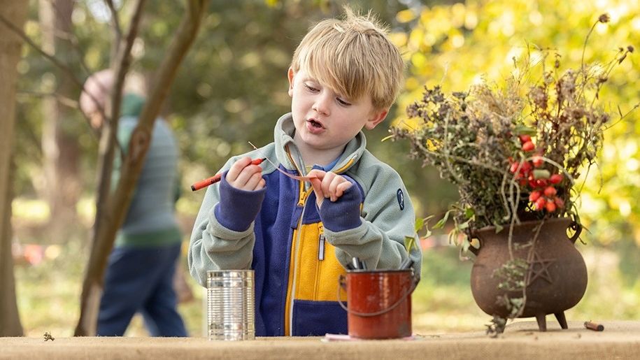 https://www.holkham.co.uk/whats-on/october-half-term/?utm_source=Link&utm_medium=link&utm_campaign=OctHalfTerm&utm_id=LetsGo