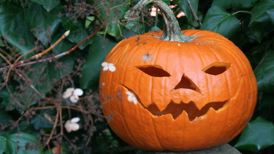 Carved Halloween pumpkin amongst green leaves.