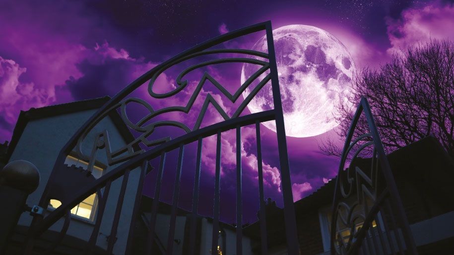https://www.roalddahlmuseum.org/event/twilight-tricks/