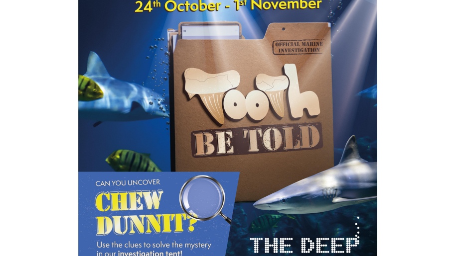 Poster showing a document file and magnifying glass advertising The Deep's October half term event.