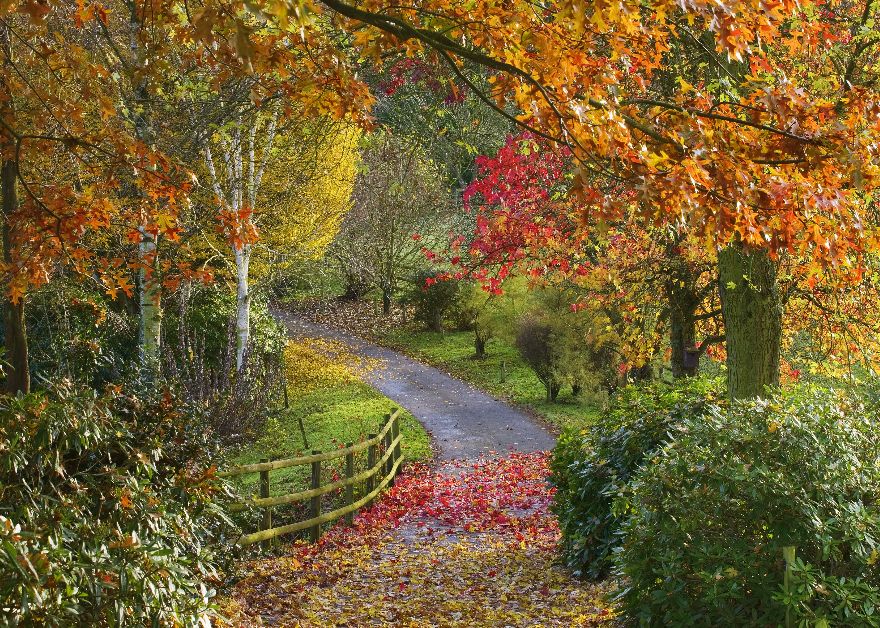 Autumn colours at Bodenham Arboretum.