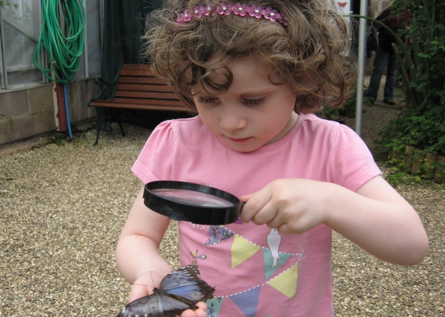Wye Valley Butterfly Zoo Places To Go Lets Go With The